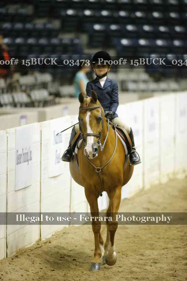 Proof 15BUCK_03473