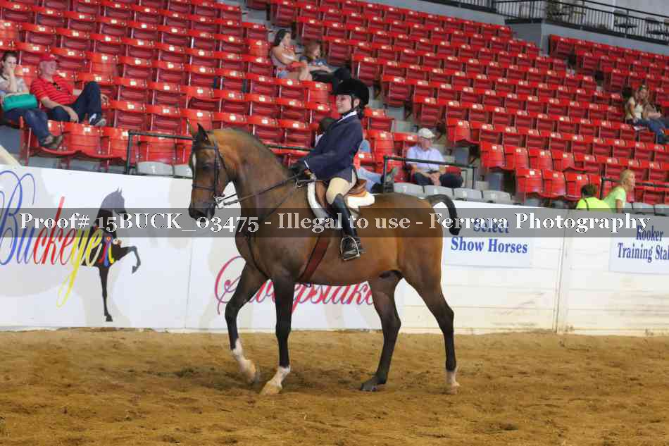 Proof 15BUCK_03475