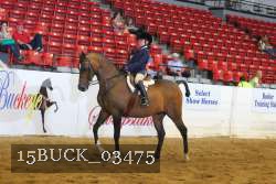 15BUCK_03475 proof