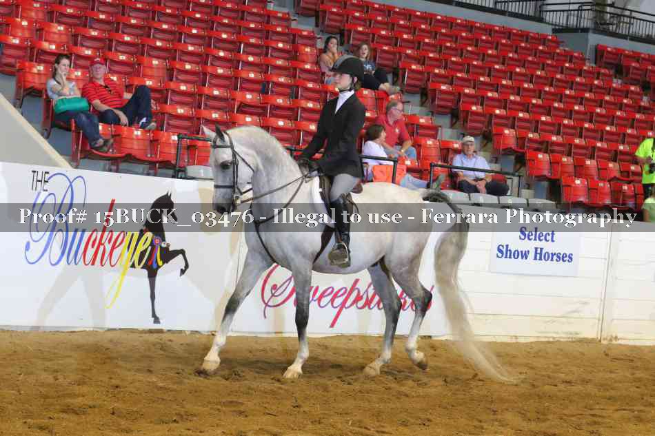 Proof 15BUCK_03476