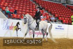15BUCK_03476 proof