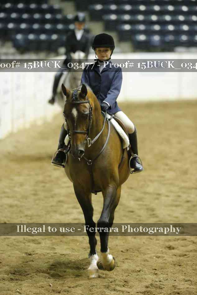 Proof 15BUCK_03477