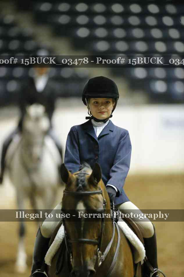 Proof 15BUCK_03478