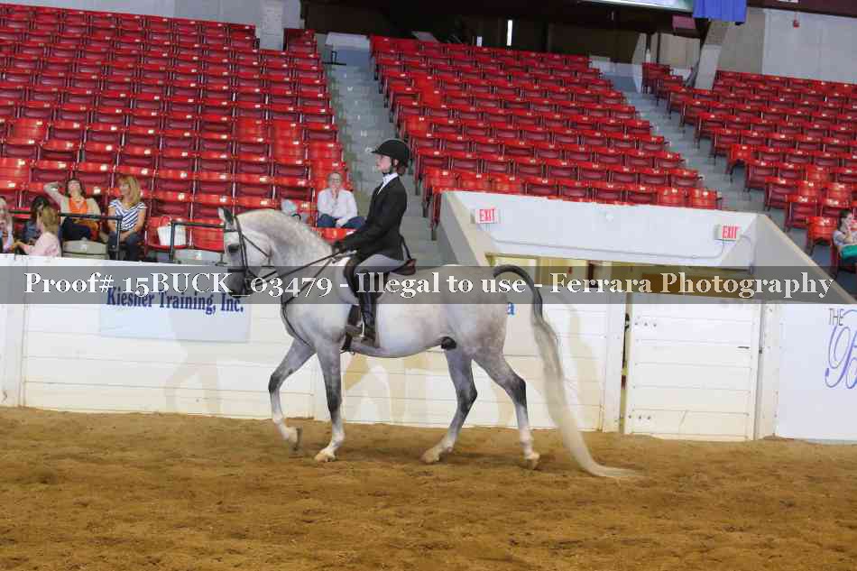 Proof 15BUCK_03479