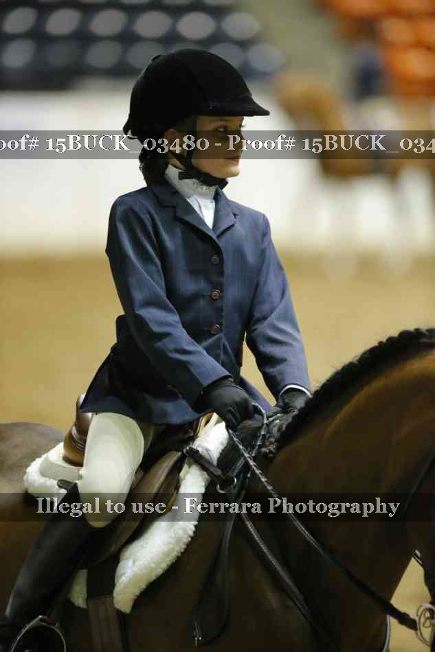 Proof 15BUCK_03480