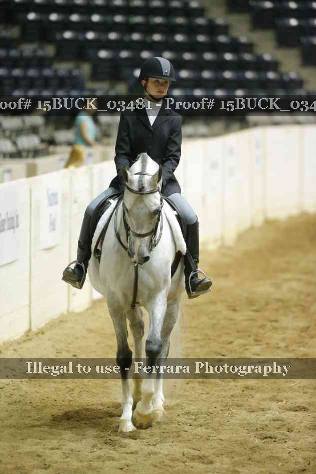 Proof 15BUCK_03481