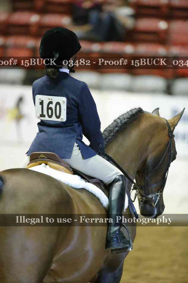Proof 15BUCK_03482