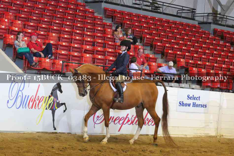 Proof 15BUCK_03483