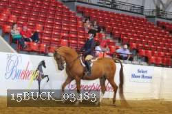 15BUCK_03483 proof