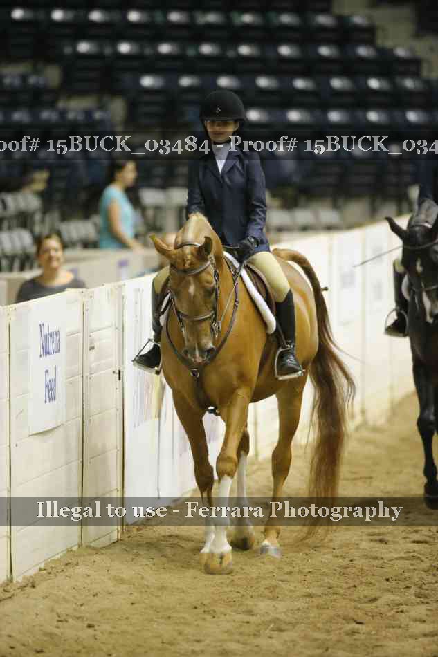 Proof 15BUCK_03484