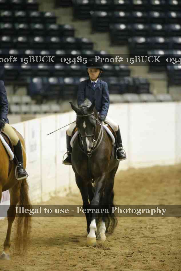 Proof 15BUCK_03485