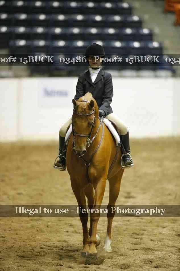 Proof 15BUCK_03486