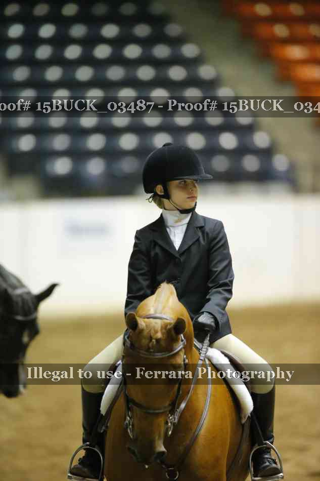 Proof 15BUCK_03487