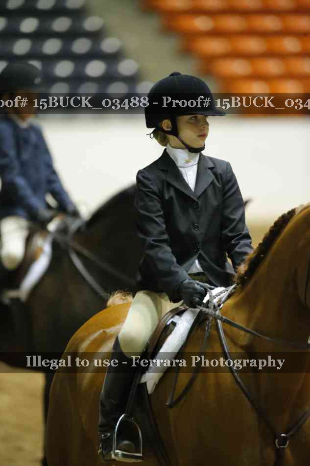 Proof 15BUCK_03488
