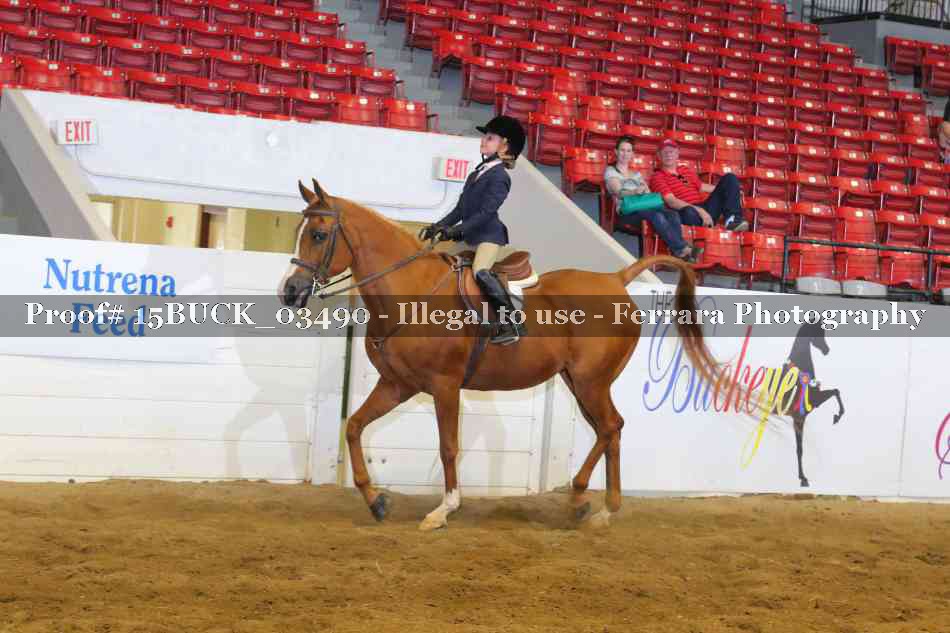Proof 15BUCK_03490