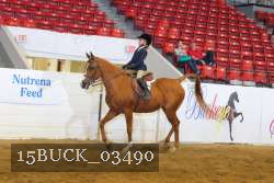 15BUCK_03490 proof