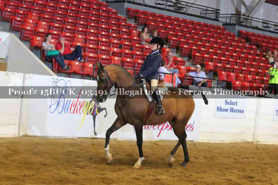 Proof 15BUCK_03491