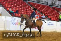15BUCK_03491 proof