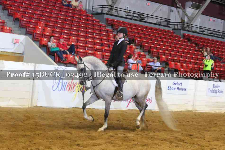 Proof 15BUCK_03492