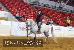 15BUCK_03492 proof