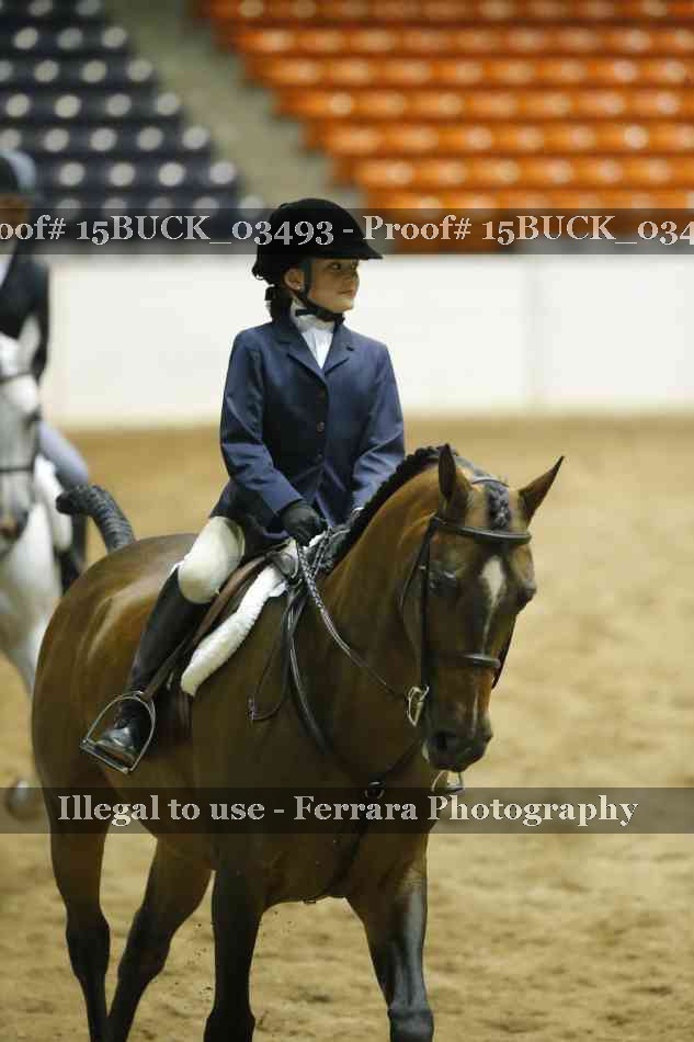 Proof 15BUCK_03493