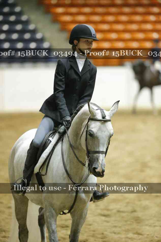 Proof 15BUCK_03494