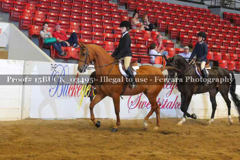 Proof 15BUCK_03495