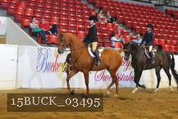 15BUCK_03495 proof