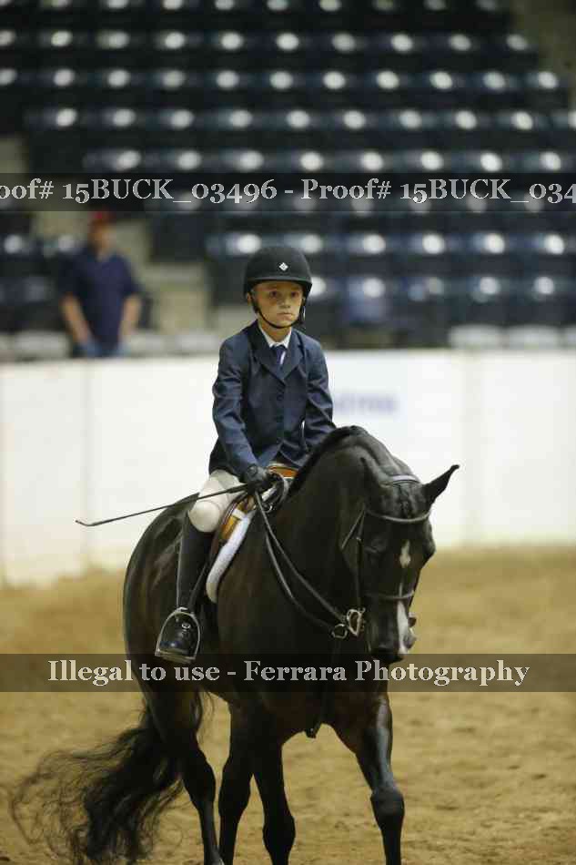 Proof 15BUCK_03496