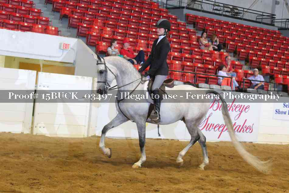 Proof 15BUCK_03497