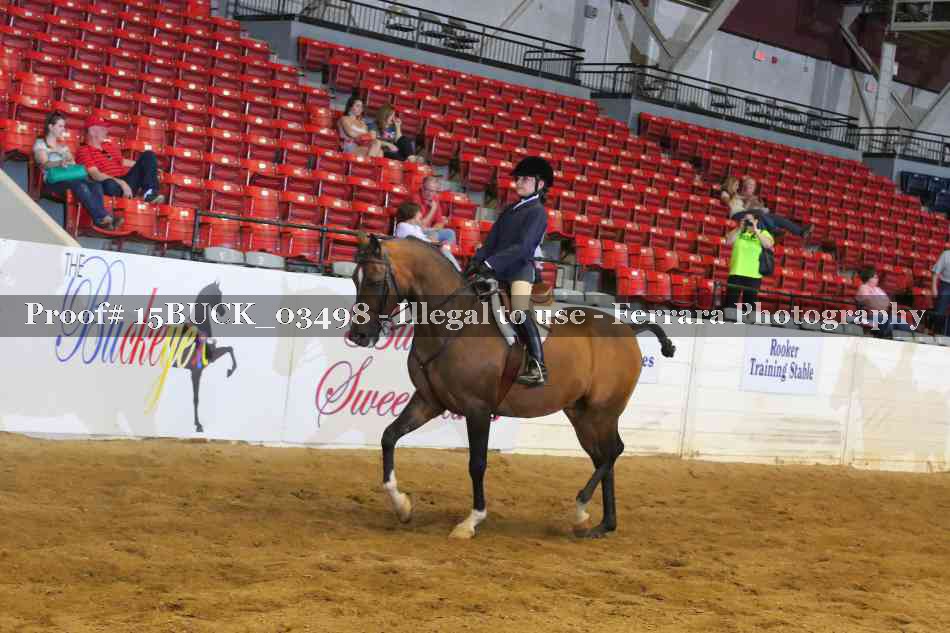 Proof 15BUCK_03498