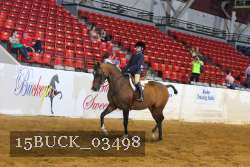 15BUCK_03498 proof