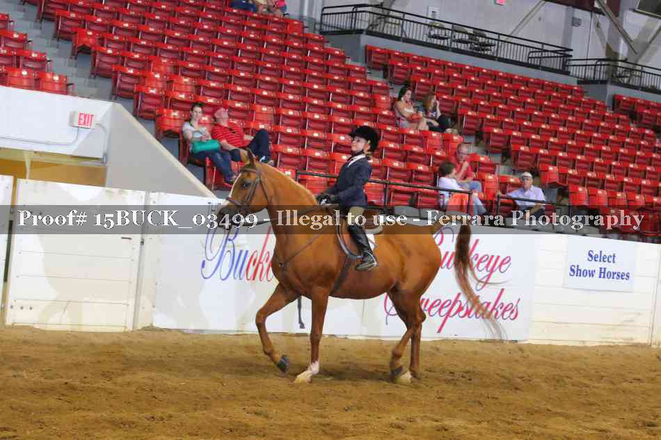 Proof 15BUCK_03499