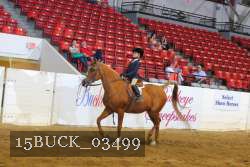 15BUCK_03499 proof