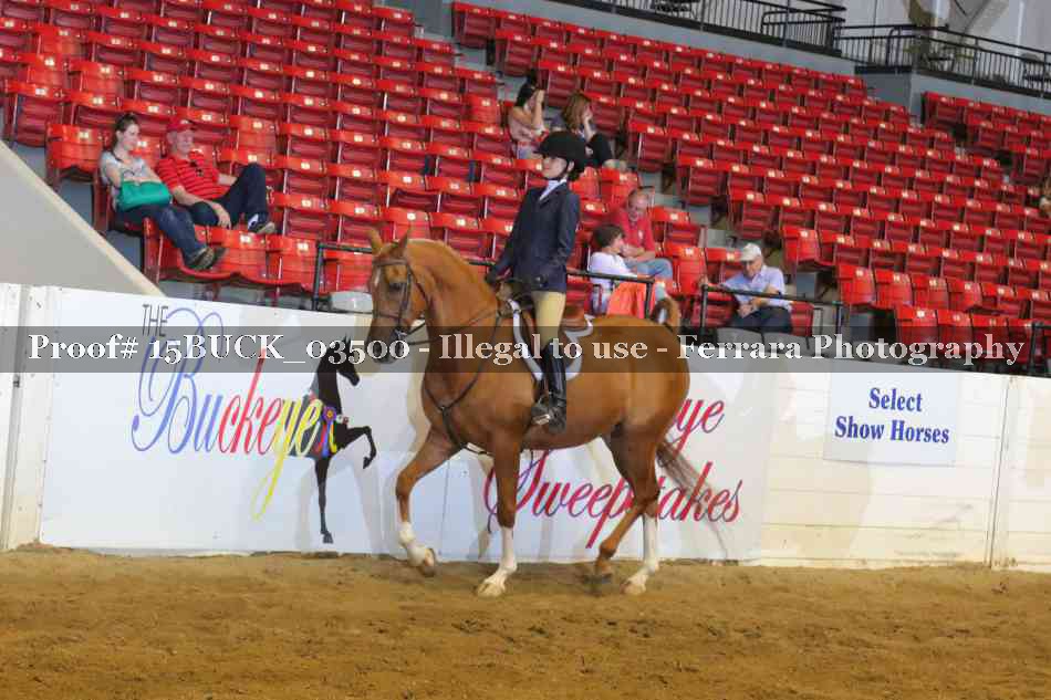 Proof 15BUCK_03500