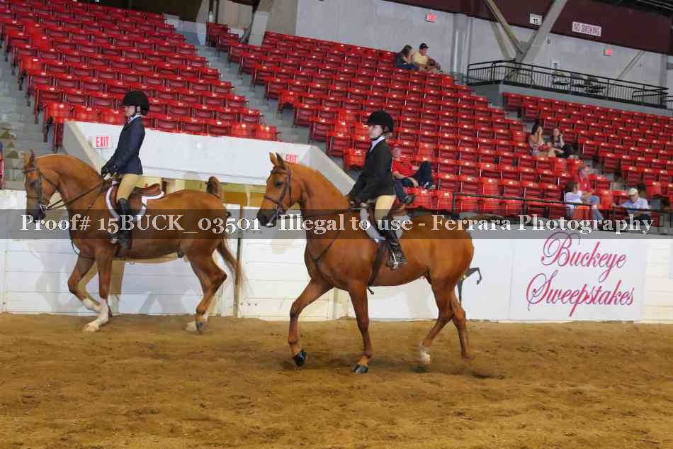 Proof 15BUCK_03501