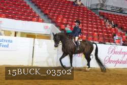 15BUCK_03502 proof
