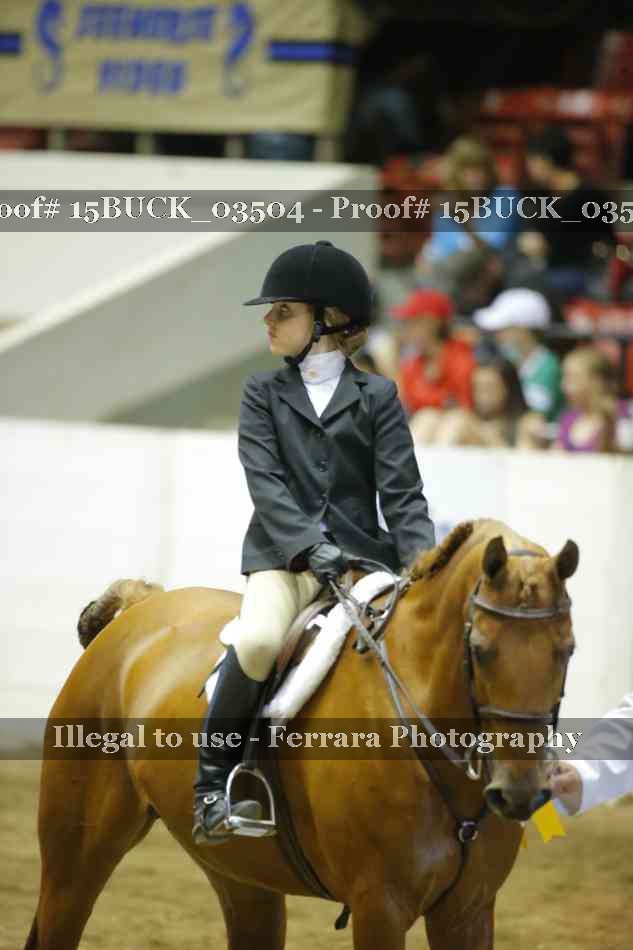 Proof 15BUCK_03504