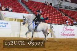 15BUCK_03507 proof