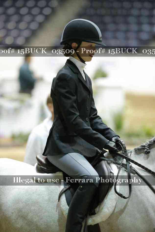 Proof 15BUCK_03509