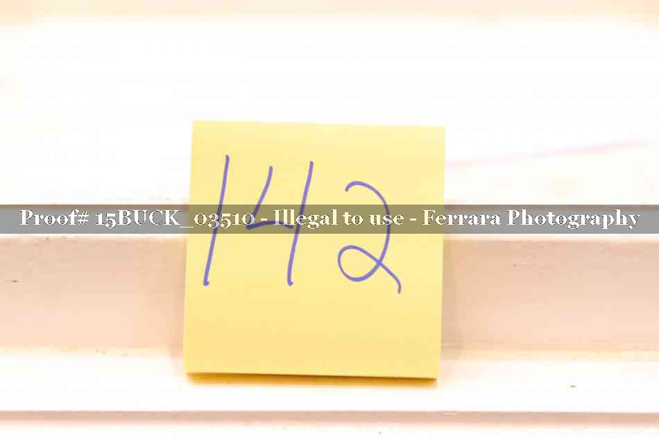 Proof 15BUCK_03510
