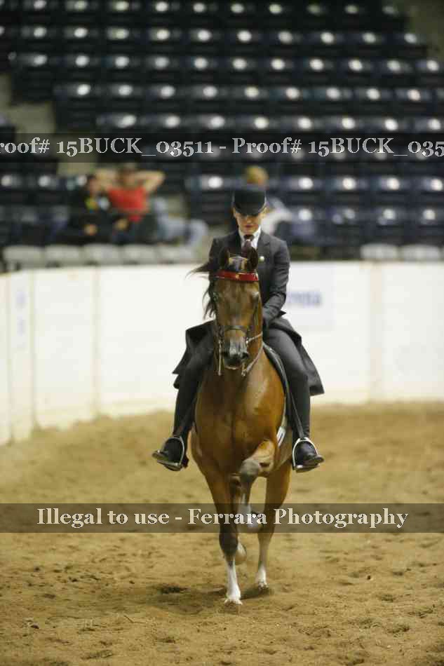 Proof 15BUCK_03511