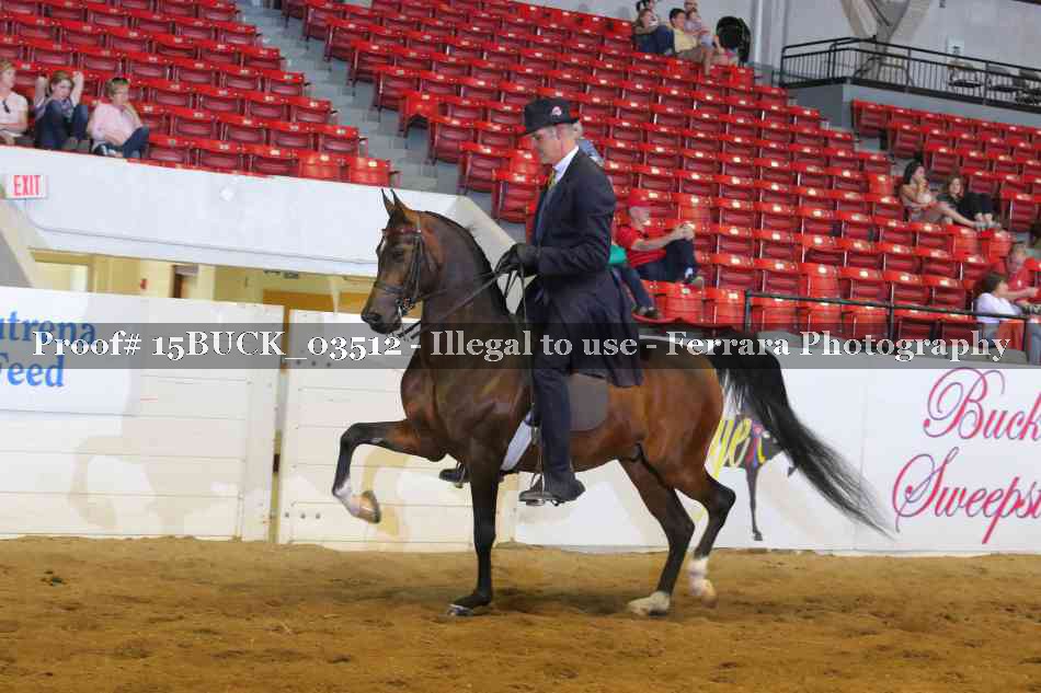 Proof 15BUCK_03512
