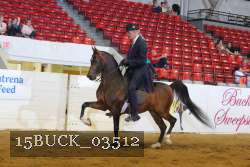 15BUCK_03512 proof