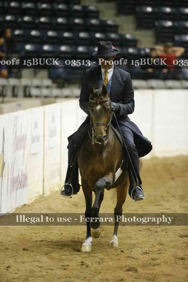 Proof 15BUCK_03513