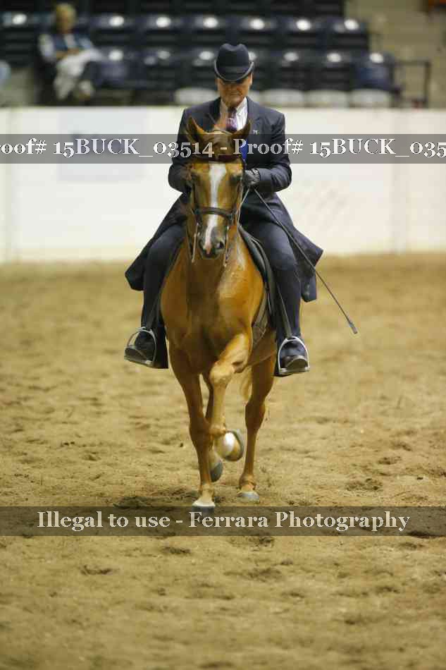 Proof 15BUCK_03514
