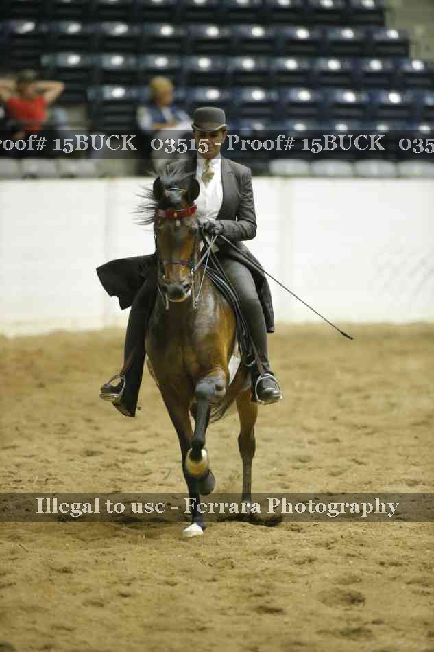 Proof 15BUCK_03515