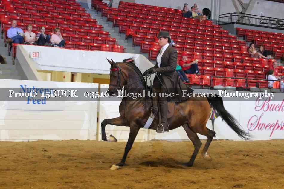 Proof 15BUCK_03516