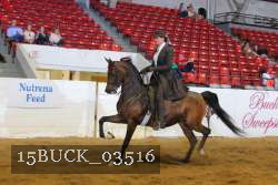 15BUCK_03516 proof