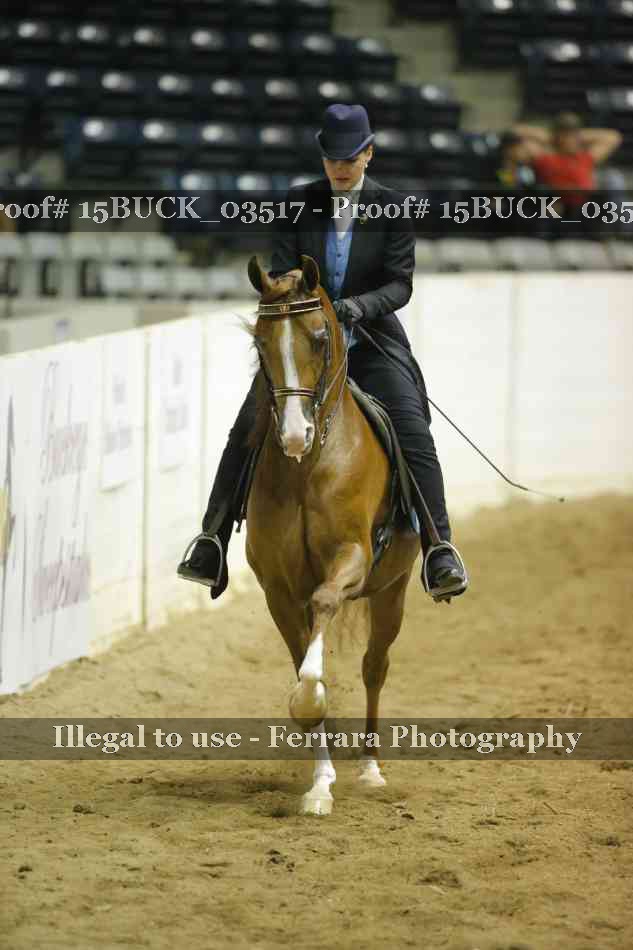 Proof 15BUCK_03517